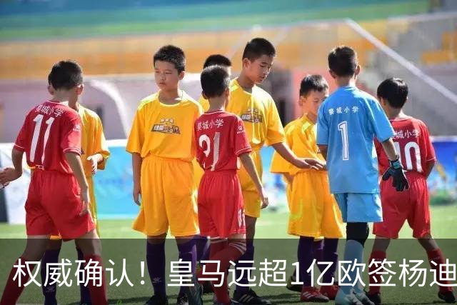 权威确认！皇马远超1亿欧签杨迪，倒逼维尼修斯离队，枪迷上树