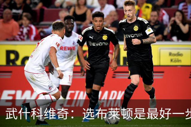 武什科维奇：选布莱顿是最好一步，这里擅长培养年轻球员