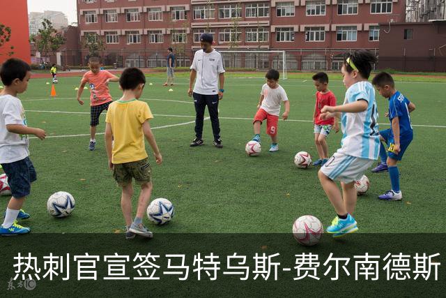 热刺官宣签马特乌斯-费尔南德斯 转会费8500万镑破纪录