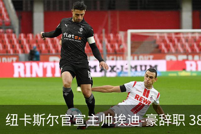 纽卡斯尔官宣主帅埃迪-豪辞职 38岁德国少帅将上任