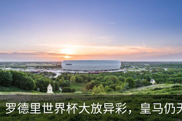 罗德里世界杯大放异彩，皇马仍无意引进