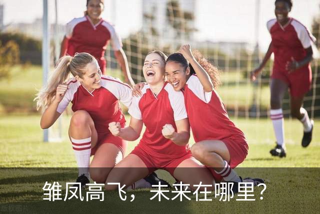 雏凤高飞，未来在哪里？